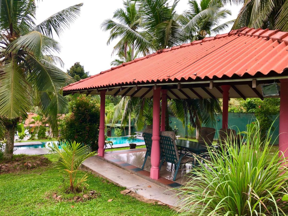Villa Garden Haven Hikkaduwa Extérieur photo